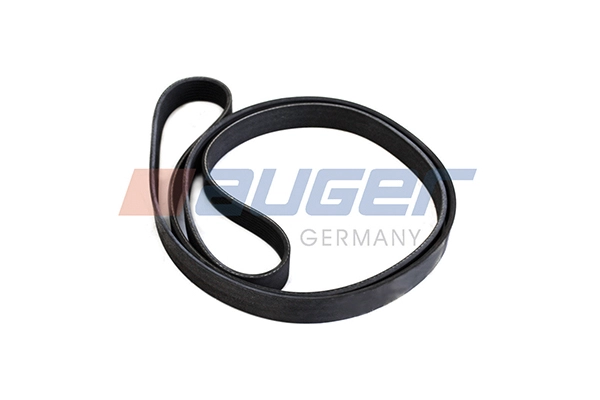 V-Ribbed Belt (79959)