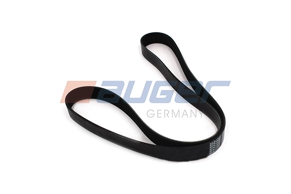 V-Ribbed Belt (87721)