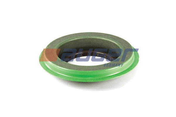 Shaft Seal, differential (69248)