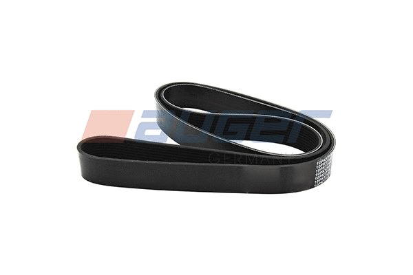 V-Ribbed Belt (80130)