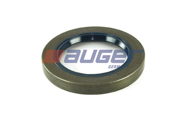 Shaft Seal, differential (69193)