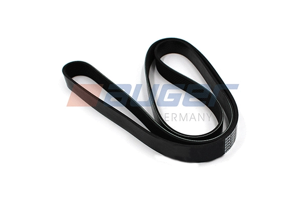 V-Ribbed Belt (79938)