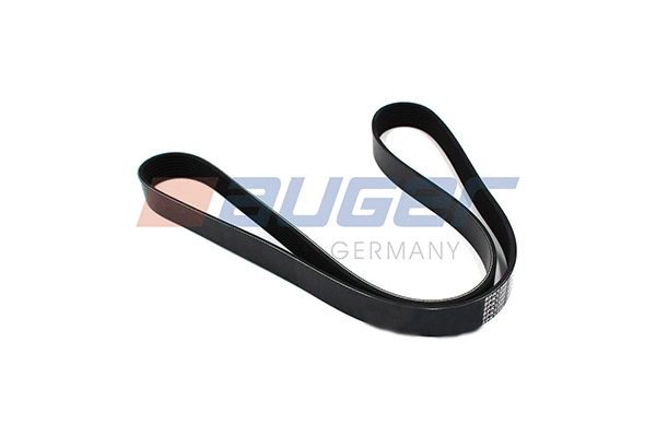 V-Ribbed Belt (79916)