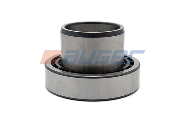 Wheel Bearing (98678)