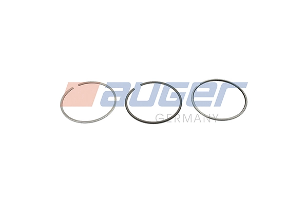 Piston Ring Kit (109708)