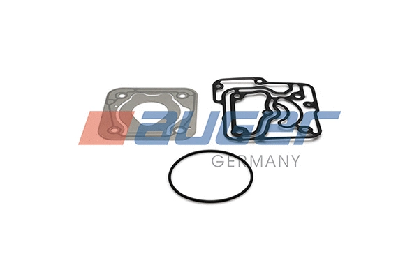 Seal Kit, multi-valve (79605)