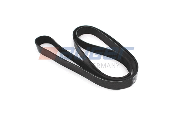 V-Ribbed Belt (79943)