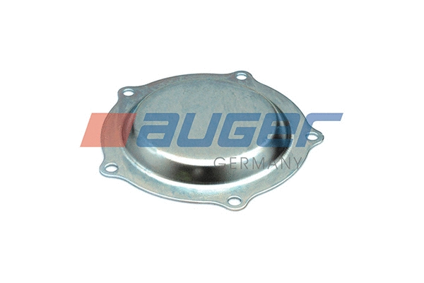 Cap, wheel bearing (52900)