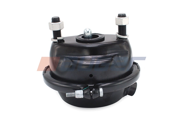 Spring-loaded Cylinder (21284)