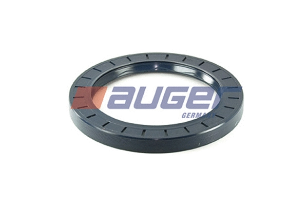 Shaft Seal, wheel hub (69372)
