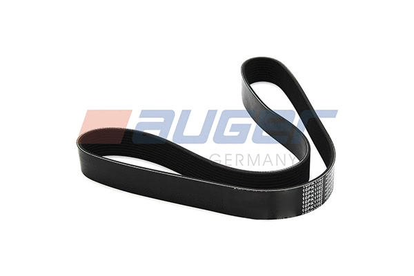 V-Ribbed Belt (79980)