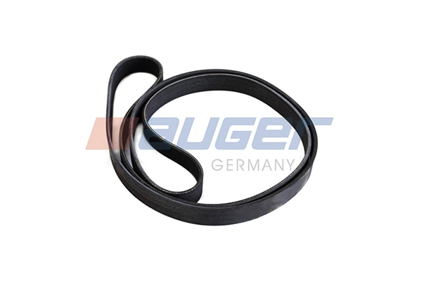 V-Ribbed Belt (80012)