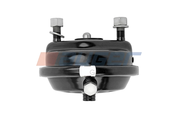 Spring-loaded Cylinder (21321)