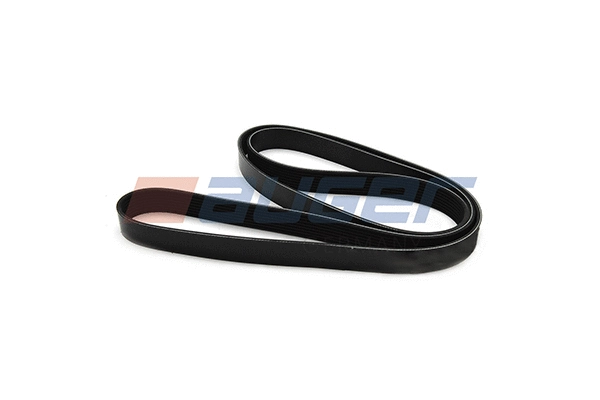 V-Ribbed Belt (79948)