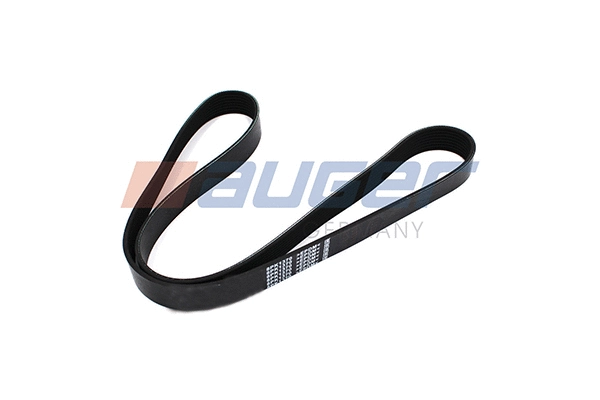 V-Ribbed Belt (79914)