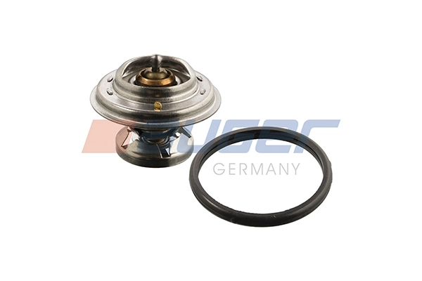 Thermostat, coolant (99226)
