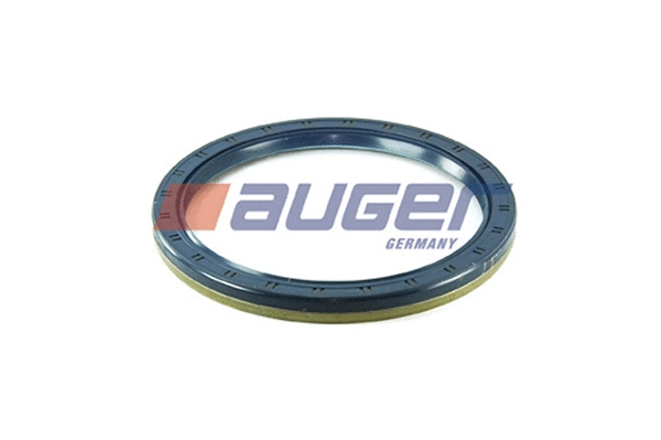 Shaft Seal, wheel hub (69176)