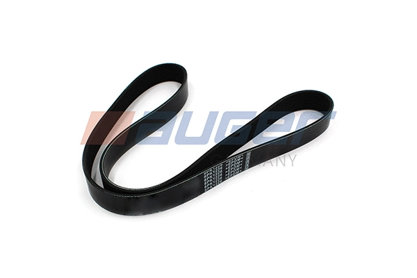 V-Ribbed Belt (80094)