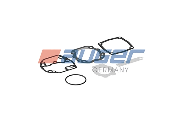 Repair kit, air compressor (78319)