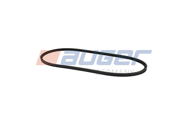 V-Belt (79838)