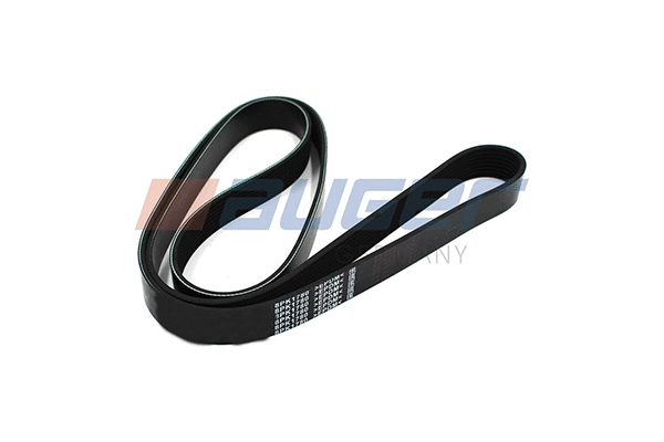 V-Ribbed Belt (79930)