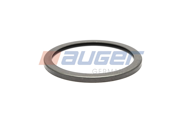 Cover Plate, dust-cover wheel bearing (98601)