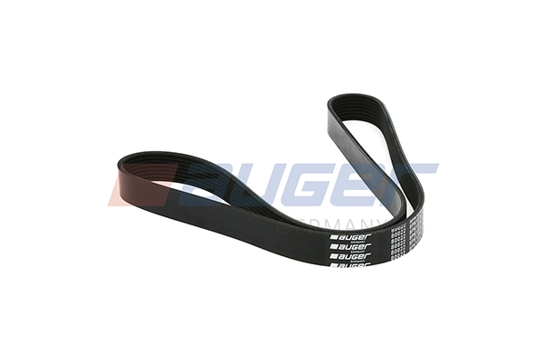 V-Ribbed Belt (80022)