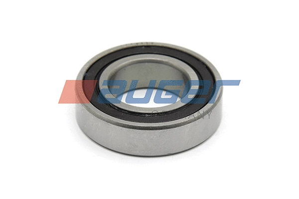 Bearing (60471)