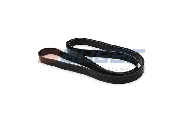 V-Ribbed Belt (87702)