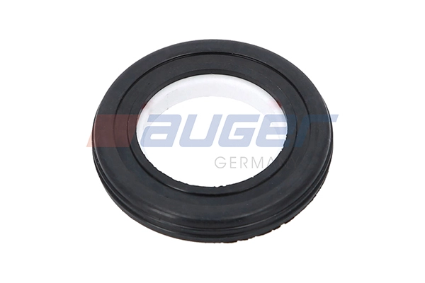 Shaft Seal, water pump shaft (112822)