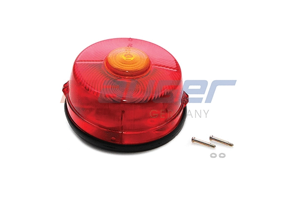 Tail Light Assembly (99032)