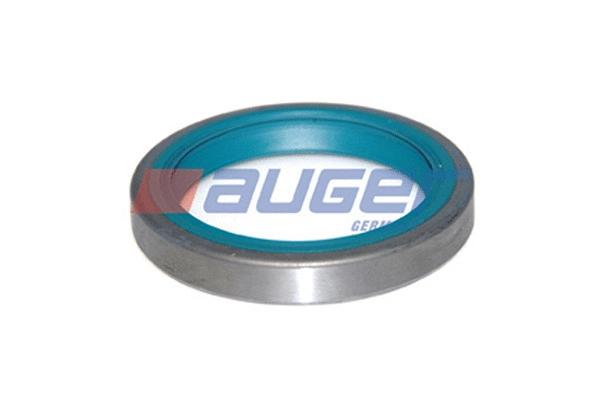 Shaft Seal, wheel hub (70429)