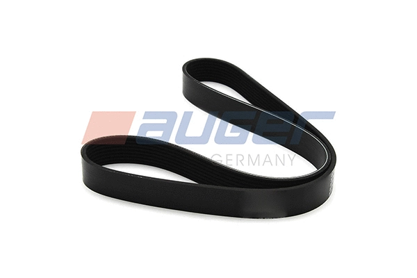 V-Ribbed Belt (80065)