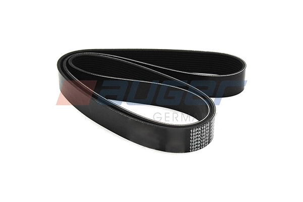 V-Ribbed Belt (79991)