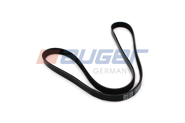 V-Ribbed Belt (79895)