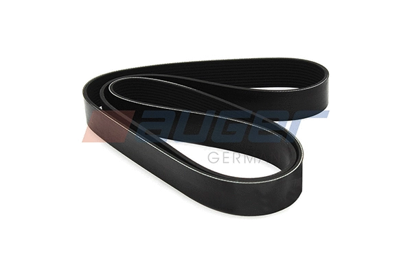V-Ribbed Belt (80037)