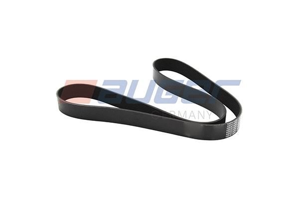 V-Ribbed Belt (79985)