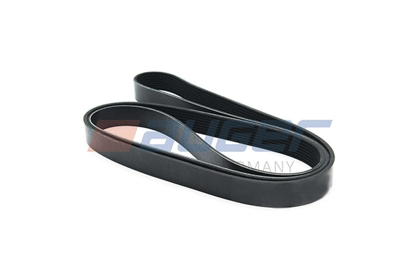 V-Ribbed Belt (87727)