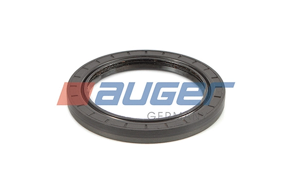 Shaft Seal, wheel hub (55769)