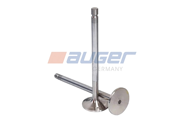 Intake Valve (107178)