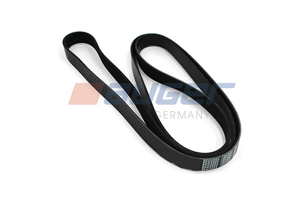V-Ribbed Belt (79953)