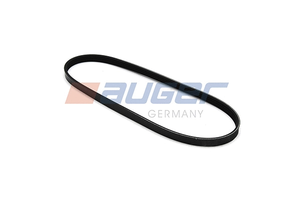 V-Ribbed Belt (79894)