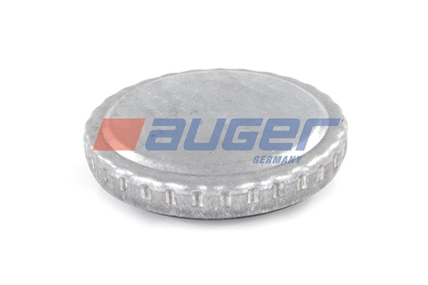 Sealing Cap, oil filler neck (75922)