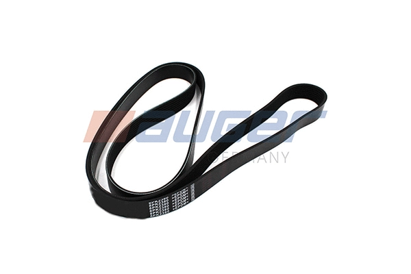 V-Ribbed Belt (79950)