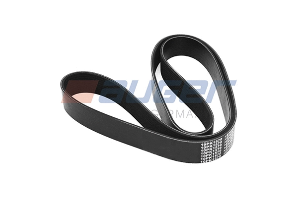V-Ribbed Belt (90473)