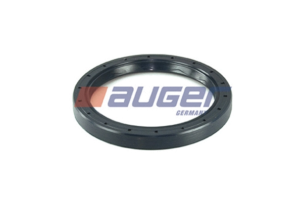 Shaft Seal, wheel hub (69361)