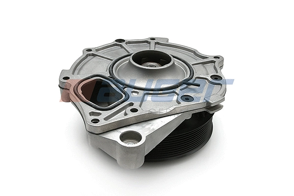 Water Pump, engine cooling (81811)