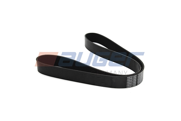 V-Ribbed Belt (80034)