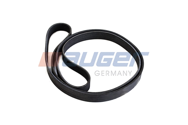 V-Ribbed Belt (80056)