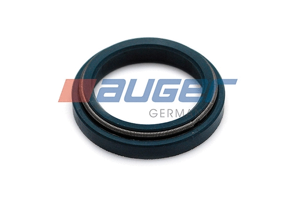 Shaft Seal, steering gear (69289)